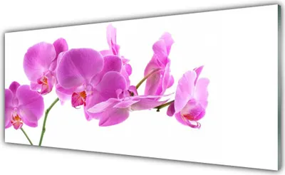 Produktbild von Glasbilder 125x50 Wandbild Druck auf Glas Blumen Pflanzen