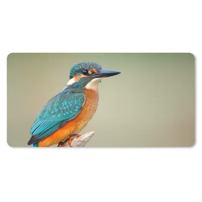 Produktbild von MuchoWow® Schreibtischunterlage Vogel - Eisvogel - Zweig 80x40 cm - XXL Mauspad - Gaming Mauspad