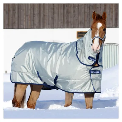 Produktbild von Power Turnout Extra Classic 145 Silber