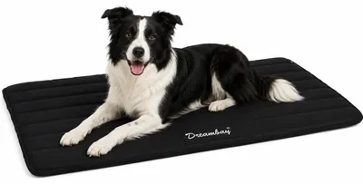 Immagine prodotto di Cuccia per cani Flamingo - lettino ortopedico per gatti Dreambay® nero - idrorepellente