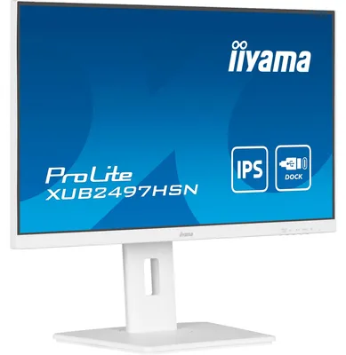 Produktbild von iiyama ProLite XUB2497HSN-W2, LED-Monitor, (FullHD, IPS, USB-C, RJ-45)