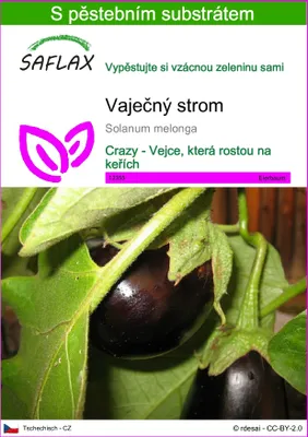 Obrázek produktu pro SAFLAX - vaječný strom - Solanum melonga - 20 Semena - S pěstebním substrátem bez klíčků