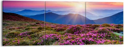 Produktbild von Bild auf Leinwand - Leinwandbild - Wiese Berg Himmel Landschaft - 150x50cm - Wand Bild - Wanddeko - Leinwanddruck - Bilder - Kunstdruck - Wanddekoration - Leinwand bilder - Wandkunst - CA150x50-2719