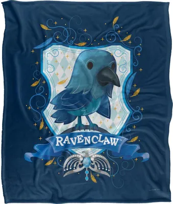 Immagine prodotto di Harry Potter - Coperta "Ravenclaw", Goldige TV18558 (taglia unica) (Colorato)