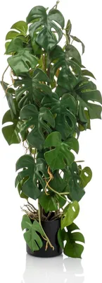 Produktbild von artplants.de Kunstpflanze Philodendron Monstera Deliciosa RONGPU, 75cm - Philo künstlich