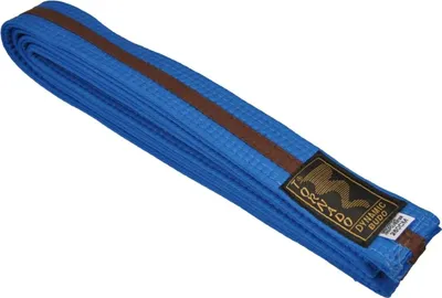 Produktbild von TEKKA BUDO Kampfsport Gürtel mit Mittelstreifen blau-braun 260 cm 2-farbig - Budogürtel, Karate, Judo, Taekwondo, Ju-Jutsu