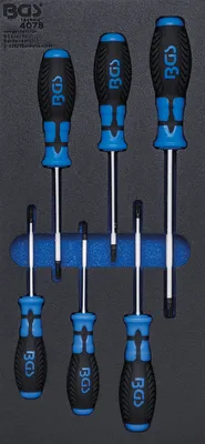 Immagine prodotto di BGS Inserto per carrello da officina 1/3: Cacciavite con profilo a T (per Torx) 6 pezzi - 4078