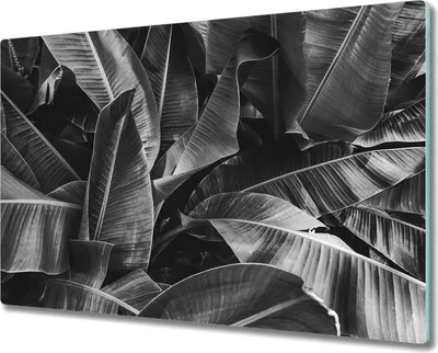 Produktbild von Herd-Abdeckplatte Glas Schneidebrett Ceranfeld-Abdeckung - 80x52 cm - Dunkler Dschungel