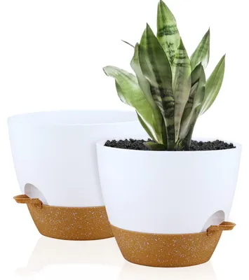 Imagen del producto de Macetas de autorriego, de plástico, con un diámetro de 25 cm, en color blanco y terracota, aptas para interior y exterior