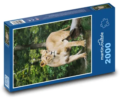 Obrázok produktu pre Puzzle 2000 Levice v divočine - martinpuzzle