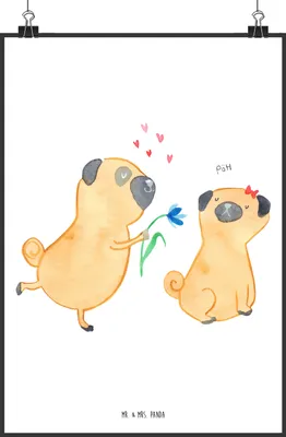 Produktbild von Mr. & Mrs. Panda Bild Mops Verliebt DIN A2 - Weiß - Geschenk, Partner, wanddruck, Liebe, Wandbild, drucke, Plakat, Hund, Sprüche, Kunstdruck, Knuffig