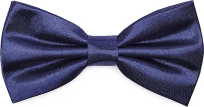 Produktbild von Ladeheid Elegante Herren Fliege -Hochwertig Glänzend Verstellbar BMS (12cmx6cm)