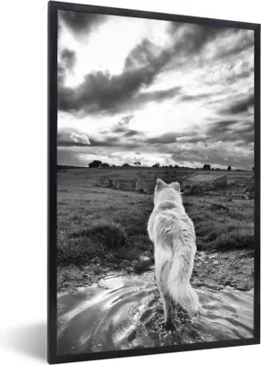 Produktbild von MuchoWow® MuchoWow® Gerahmtes Poster Wolf mit Blick auf die Landschaft in Schwarz und Weiß 60x90 cm - Poster mit zchwarzem Bilderrahmen - Kunst