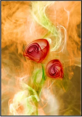 Produktbild von Wallario Wandbild Abstrakte Rosen, Größe: 70,30 x 100,30 cm, Poster mit schwarzem Aluminiumrahmen