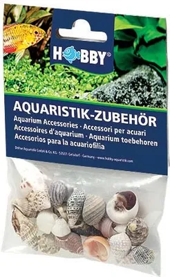 Zdjęcie produktu dla Zestaw muszelek, 20 szt., SB