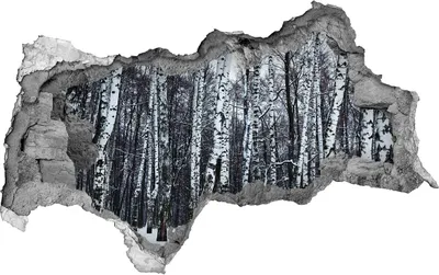 Produktbild von Selbstklebender Loch-3D-Aufkleber 95x73 cm Birken im Winter