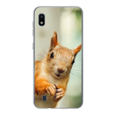 Produktbild von MuchoWow® Handyhülle Schutzhülle Hülle für Samsung Galaxy A10 Eichhörnchen - Lustig - Nuss - Kinder - Jungen - Mädchen - Kind Silikon Softcase Handy Hülle - Schutzhülle