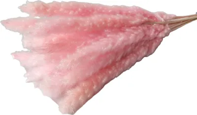 Produktbild von Künstliches getrocknetes Pampasgras, realistische, lebendige Farbe, pflegeleicht, Hochzeits-Mittelpunkt, Pampasgras, Kunstpflanze, Dekor
