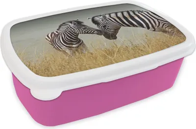 Produktbild von KitchenYeah® Lunchbox Brotzeit Brotdose 17x11 cm Zebramutter und ihr Kalb Kinder Brotzeitdose - Lunchpaket - Brotkasten  - Sandwich Box