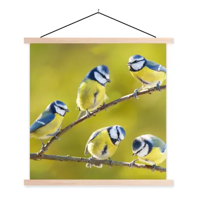 Produktbild von MuchoWow® Textilposter Vogel - Blaumeise - Äste - Sonne 40x40 cm mit holzfarbenen Rahmen - Posterleiste