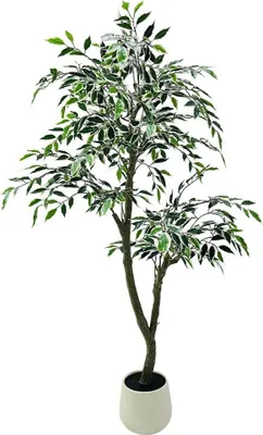 Immagine prodotto di Albero di ficus artificiale - Ficus benjamina da terra - Foglie realistiche - Per interni - Plastica - Verde