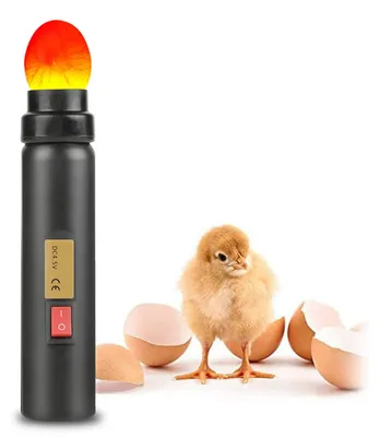 LED-Eierkerzen-Tester, hochintensive Lampe für alle Eierarten