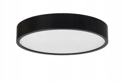 A round, black ceiling lamp with a white diffuser, shown against a white background.