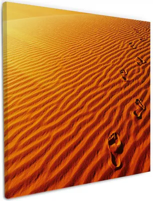 Produktbild von Wallario Premium Leinwandbild Fußspuren im Sand - Sanddüne in der Wüste in Größe 50 x 50 cm