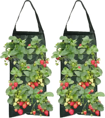 Produktbild von 2er Pack Pflanzsack,Erdbeere Pflanzsack mit 8 Löchern,Dauerhaft Atmungsaktiv Beutel, Hängend Erdbeeren Pflanztaschen,Pflanzbeutel Mit Griffe Für Pflanzen/Kräuter/Blumen