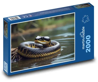 Obrázek produktu pro Puzzle 2000 Had ležící ve vodě - martinpuzzle