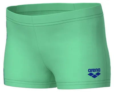 Productafbeelding van ARENA heren logo zwemshort