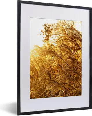 Produktbild von MuchoWow® Gerahmtes Poster Pampasgras - Sonne - Gras 30x40 cm - Poster mit Schwarzem Bilderrahmen Wandposter Rahmen Foto Bilder - Wandposter Schlafzimmer