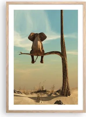 Produktbild von Gerahmtes Poster - Rahmen in heller Eiche - Elefant sitzend Ast - 50x70 cm - Wand Bild - Wanddeko - Wandbilder - Kunstposter - Wandposter - Bilderrahmen - Bilder - Kunstdruck - P2NPA50x70-4557