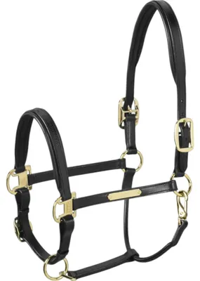 Produktbild von Eskadron Halfter Leather Elegance Lederhalfter Black WB