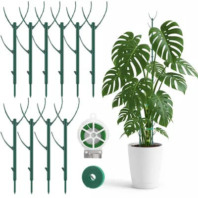Image de Supports pour plantes avec corde et autocollants, pour intérieur et extérieur