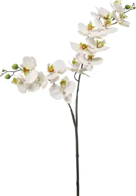 Produktbild von artplants.de Kunststoff Phalaenopsis Orchideen Zweig WANTA, weiß, 100cm - Künstlicher Orchideenzweig