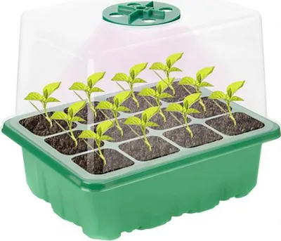Obrázek produktu pro Minipařeniště s osvětlením 12 sazenic 18,5 x 15 x 14 cm set 5 ks
