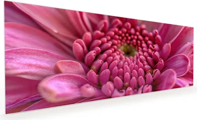Produktbild von Küchenrückwand Spritzschutz Glas mit Motiv Nahaufnahme Blume 40 x 40 cm
