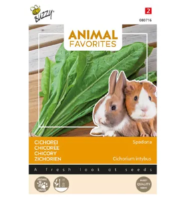 Produktbild von Grünfutter für Kleintiere Zichorien Spadona | Kleintiersaaten von Buzzy Seeds