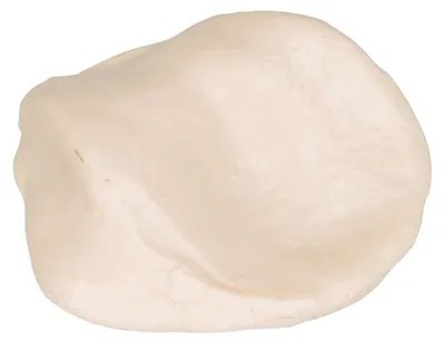 Kniegelenkmodell, menschliche Anatomie, 1 Stück, detaillierte Replik