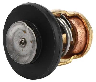 Imagen del producto de Termostato para motor de embarcación, compatible con motores fueraborda Yamaha de 3 a 225 caballos de potencia, modelo 6E5-12411-30