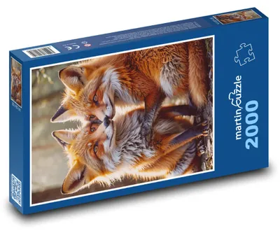Zdjęcie produktu dla martinpuzzle - Puzzle 2000 - Liski