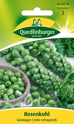 Produktbild von Rosenkohl Groninger Quedlinburger Gemüsesamen