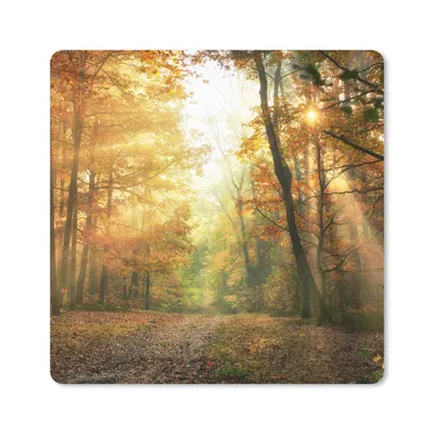 Produktbild von MuchoWow® Mauspad Mousepad Wald - Herbst - Sonne - Landschaft - Natur - Bäume - Laub 20x20 cm - Mousepads - Maus Mat - Pad - Mausunterlage - Desk Mat - Bureauartikeln