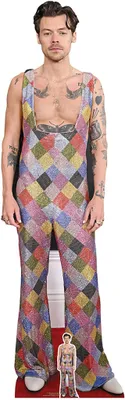Obrázek produktu pro Harry Styles – montérky – Star VIP – kartonový stojan Standy – 57 x 185 cm