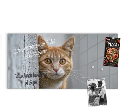 Produktbild von Magnettafel 100x50cm Pinnwand Whiteboard beschreibbar - Neugierige Katze