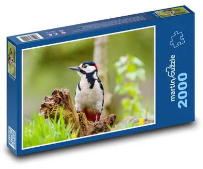 Obrázek produktu pro martinpuzzle - Puzzle 2000 - Strakapoud velký - datel