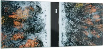Produktbild von Bilder auf glas - Einteilig - Wald Weg Schnee - 100x40cm - Glasbilder - Wandbilder - Bilder - zum Aufhängen bereit - Wanddekoration aus Glas - Glas Bilder - Wandbild auf Glas - GAB100x40-4654