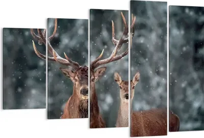Produktbild von Bild auf Leinwand - Leinwandbild - 5 Teile - Hirsch Rentier Reh - 150x100cm - Wand Bild - Wanddeko - Wandbilder - Leinwanddruck - Bilder - Wanddekoration - Leinwand bilder - Wandbild - EG150x100-5060