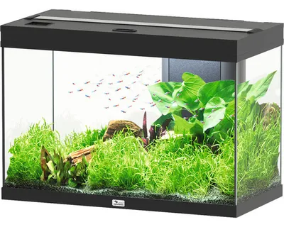 Produktbild von Aquarium aquatlantis Splendid 145 inkl. Beleuchtung, Filter schwarz